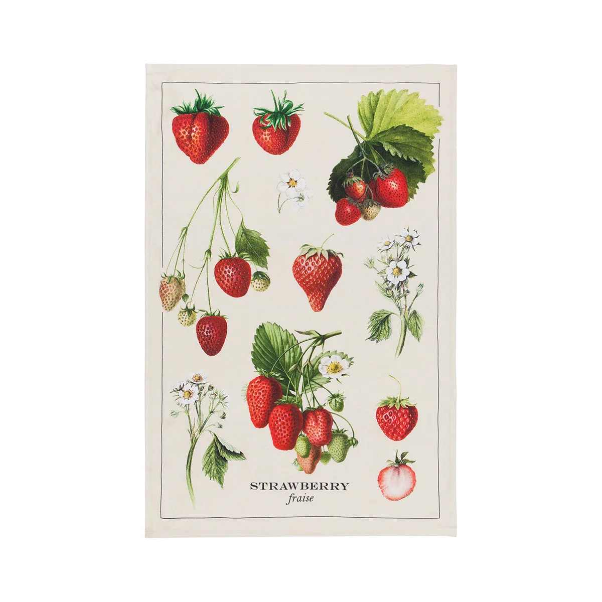 Cotton Dishtowel